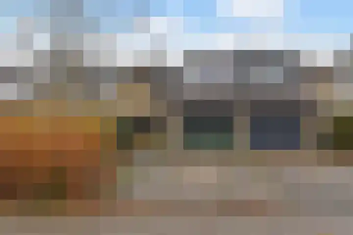 Zwenkgras 53 en Gouda