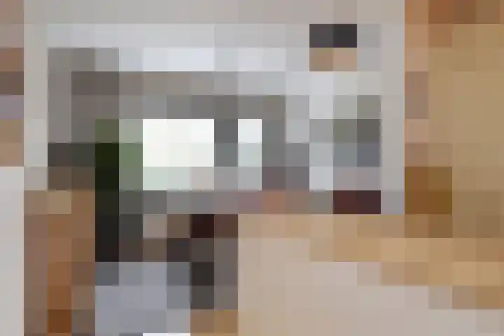 Zwenkgras 53 Gouda thumbnail 13