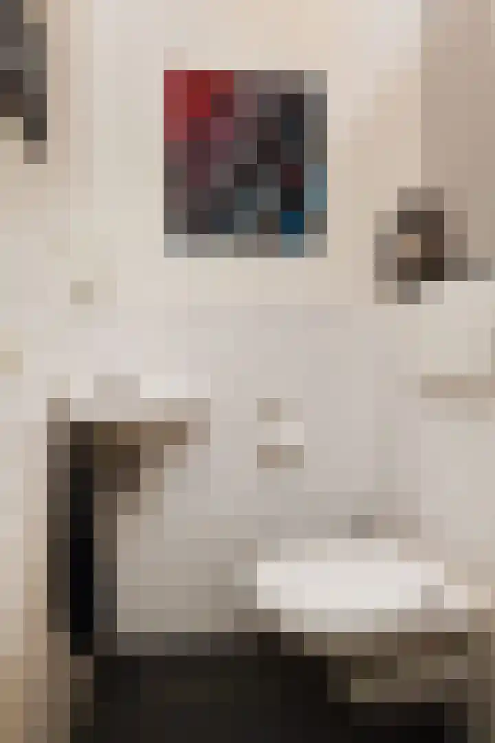 Zwenkgras 53 Gouda thumbnail 24