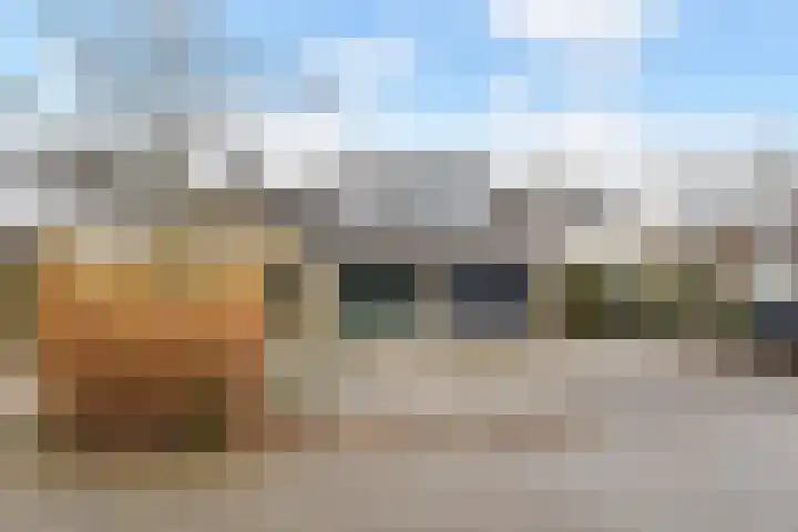 Zwenkgras 53 Gouda foto 3