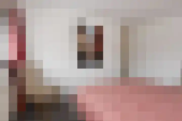 Zwenkgras 53 Gouda thumbnail 36