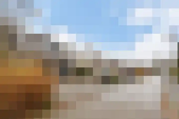 Zwenkgras 53 Gouda thumbnail 4