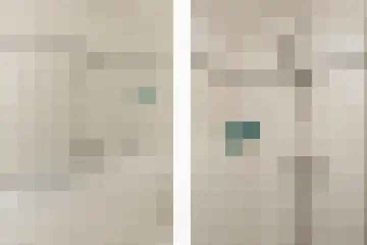 Zwenkgras 53 Gouda thumbnail 42
