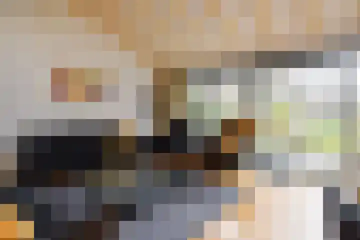 Zwenkgras 53 Gouda thumbnail 7