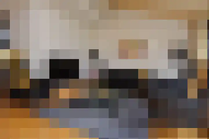 Zwenkgras 53 Gouda thumbnail 8