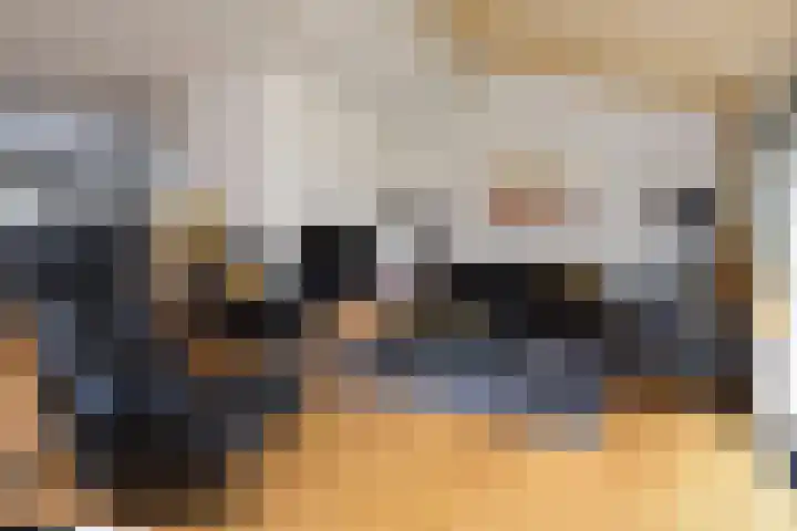 Zwenkgras 53 Gouda thumbnail 9