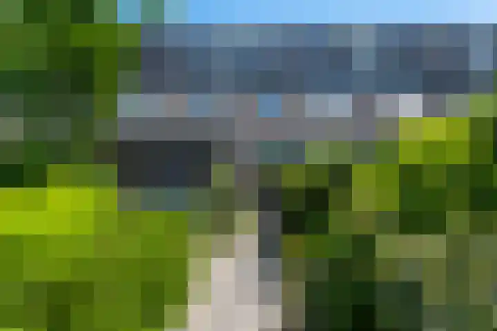 Zwenkgras 63 Leeuwarden thumbnail 10