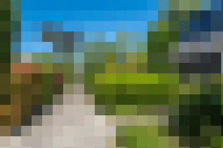 Zwenkgras 63 Leeuwarden thumbnail 11