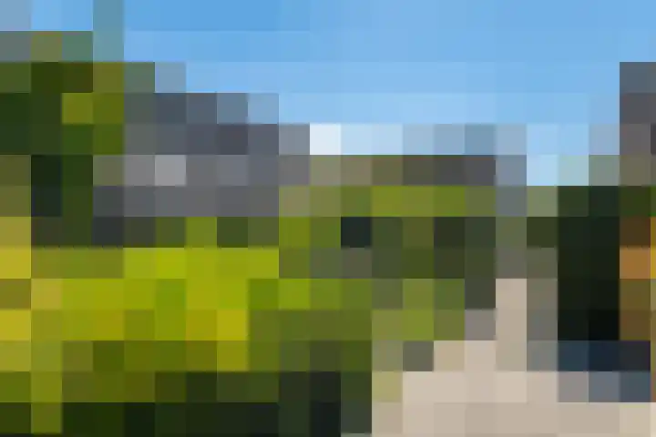 Zwenkgras 63 Leeuwarden thumbnail 12