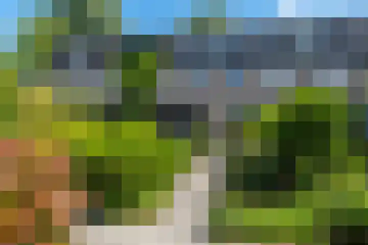 Zwenkgras 63 Leeuwarden thumbnail 13