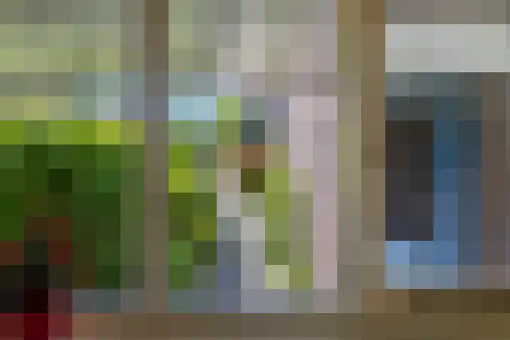 Zwenkgras 63 Leeuwarden thumbnail 24