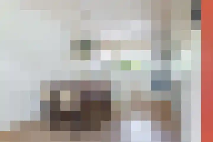 Zwenkgras 63 Leeuwarden thumbnail 29