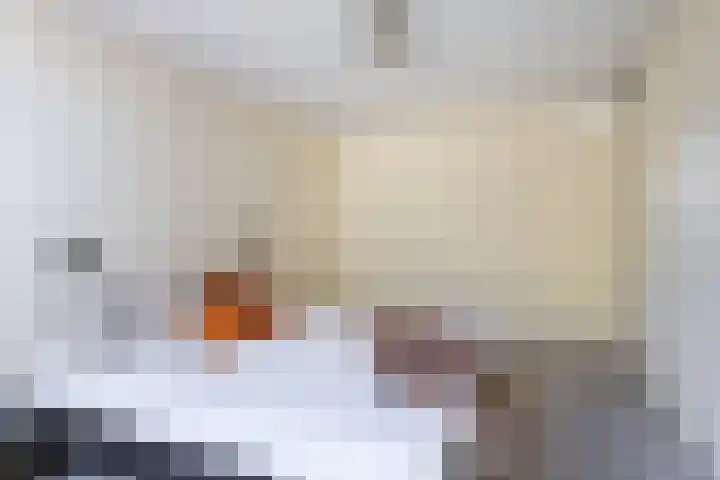 Zwenkgras 63 Leeuwarden thumbnail 39