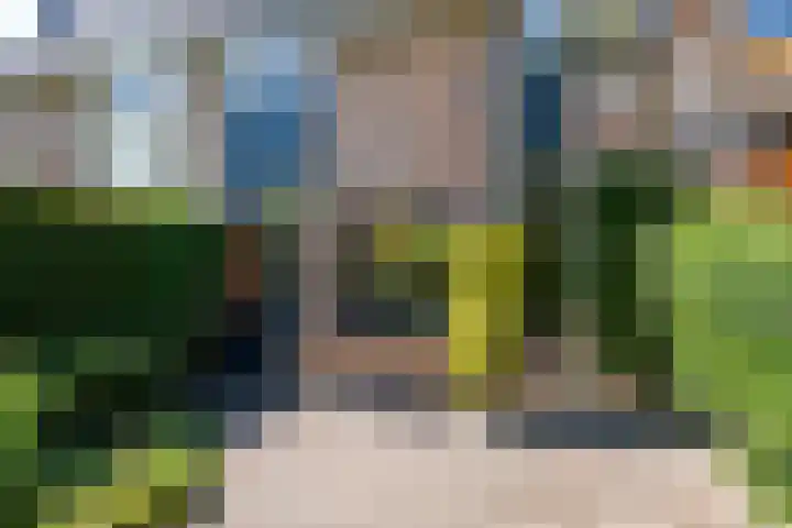 Zwenkgras 63 Leeuwarden thumbnail 51
