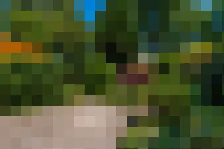 Zwenkgras 63 Leeuwarden thumbnail 57