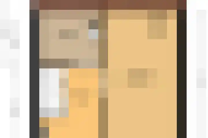 Zwenkgras 63 Leeuwarden thumbnail 64