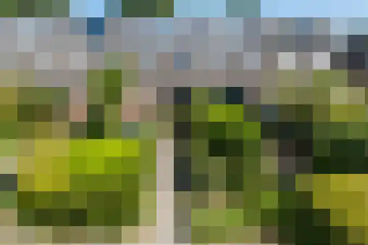 Zwenkgras 63 Leeuwarden thumbnail 68