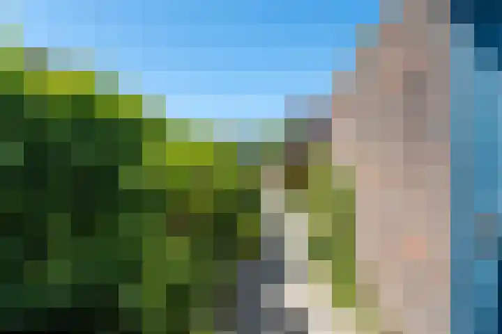 Zwenkgras 63 Leeuwarden thumbnail 7