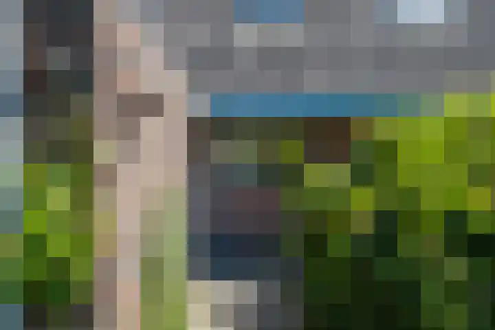 Zwenkgras 63 Leeuwarden thumbnail 9