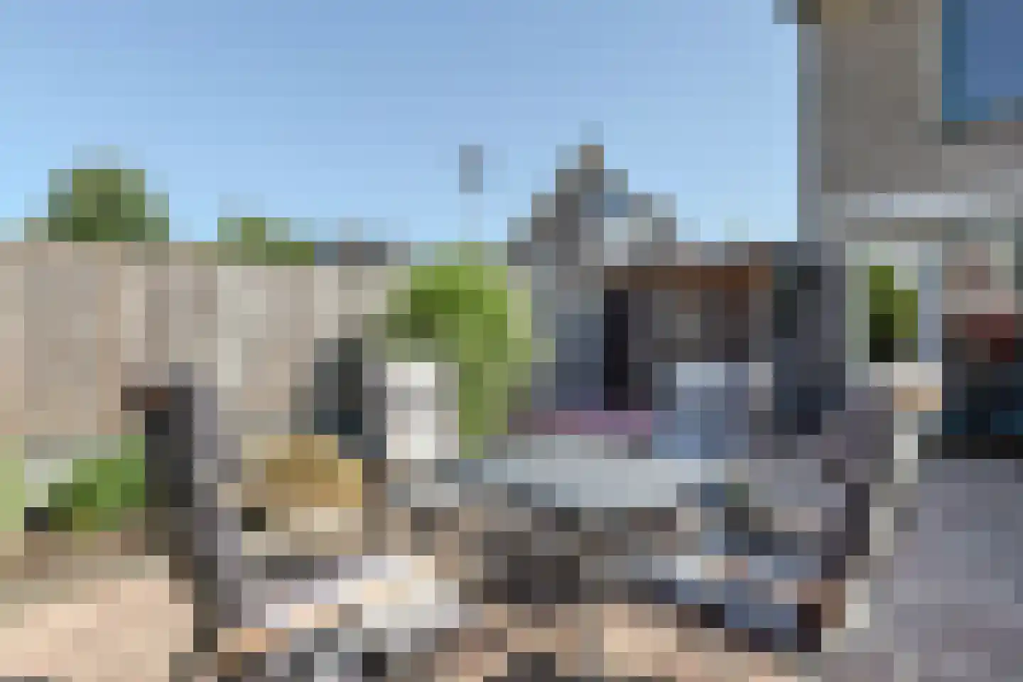 Zwenkgras 7 Bodegraven thumbnail 29