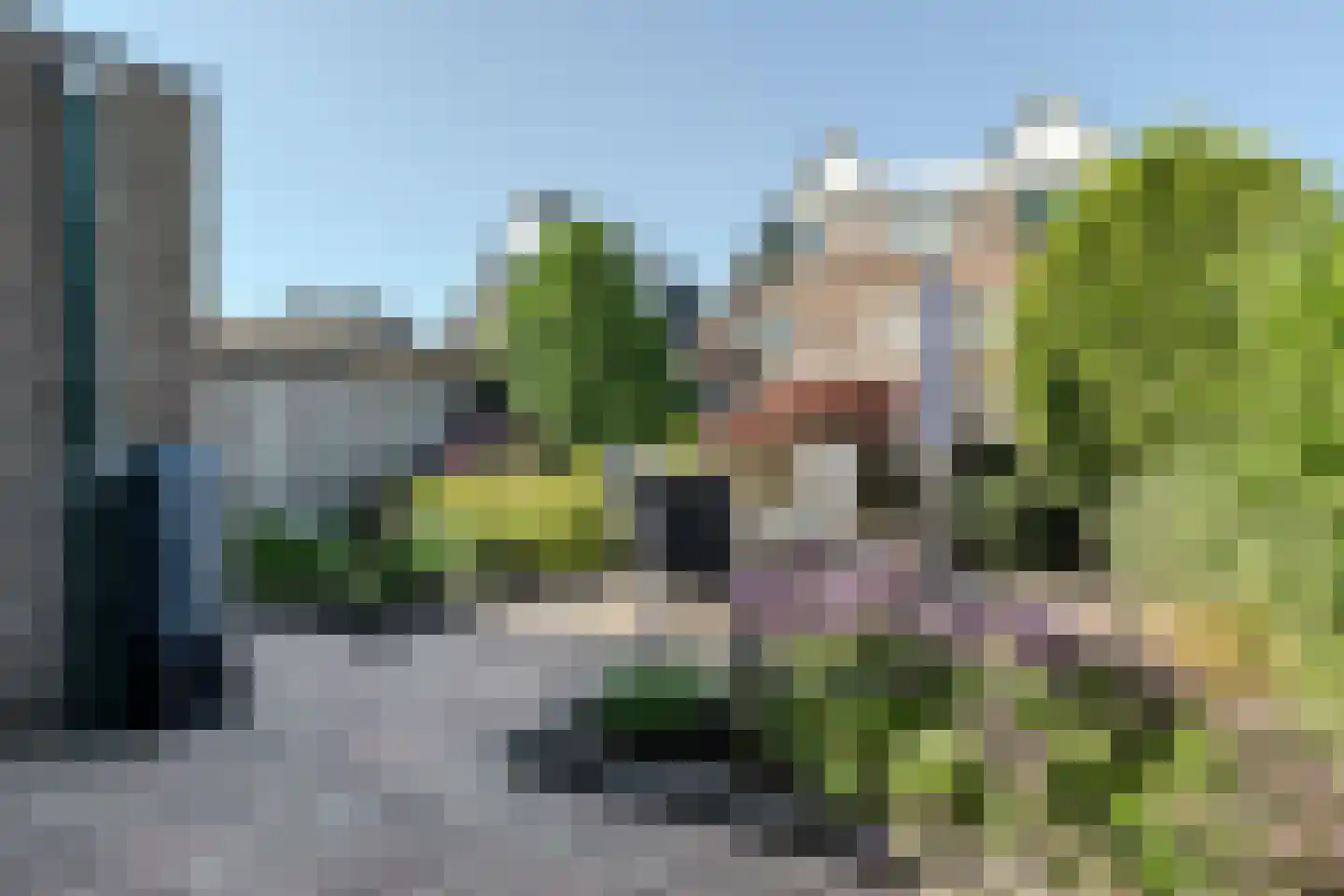 Zwenkgras 7 Bodegraven thumbnail 32