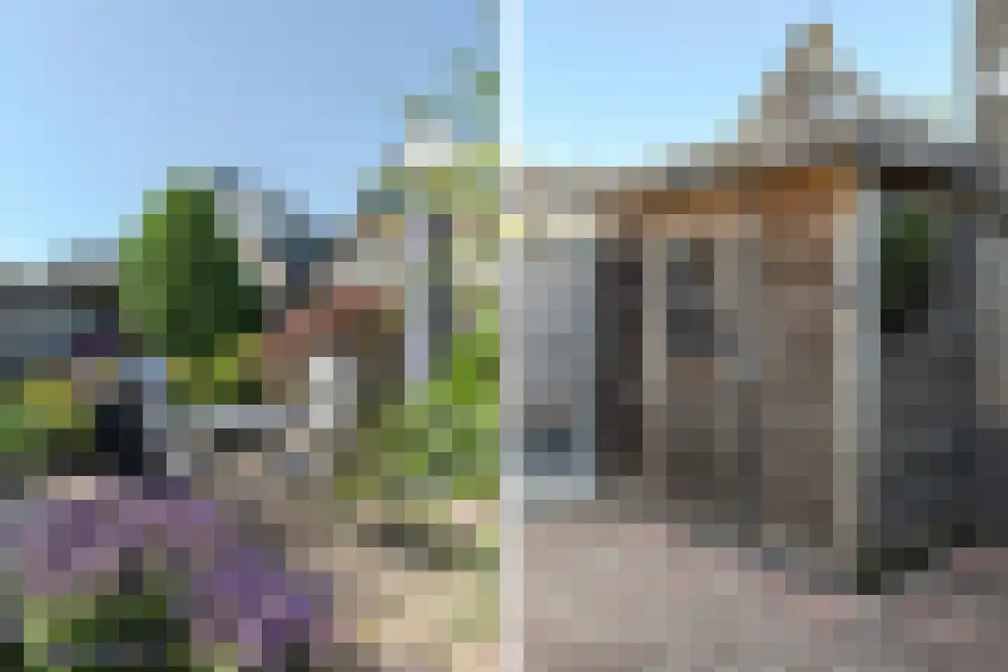 Zwenkgras 7 Bodegraven thumbnail 33