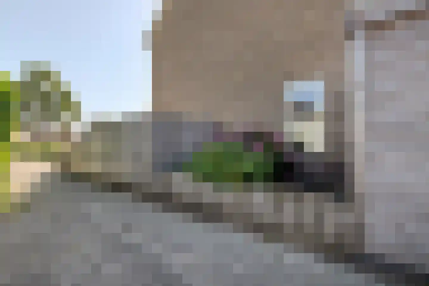 Zwenkgras 7 Bodegraven thumbnail 35