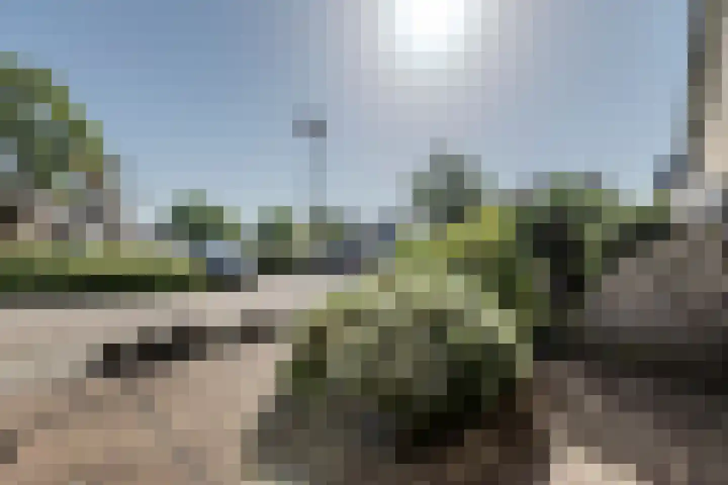 Zwenkgras 7 Bodegraven thumbnail 40