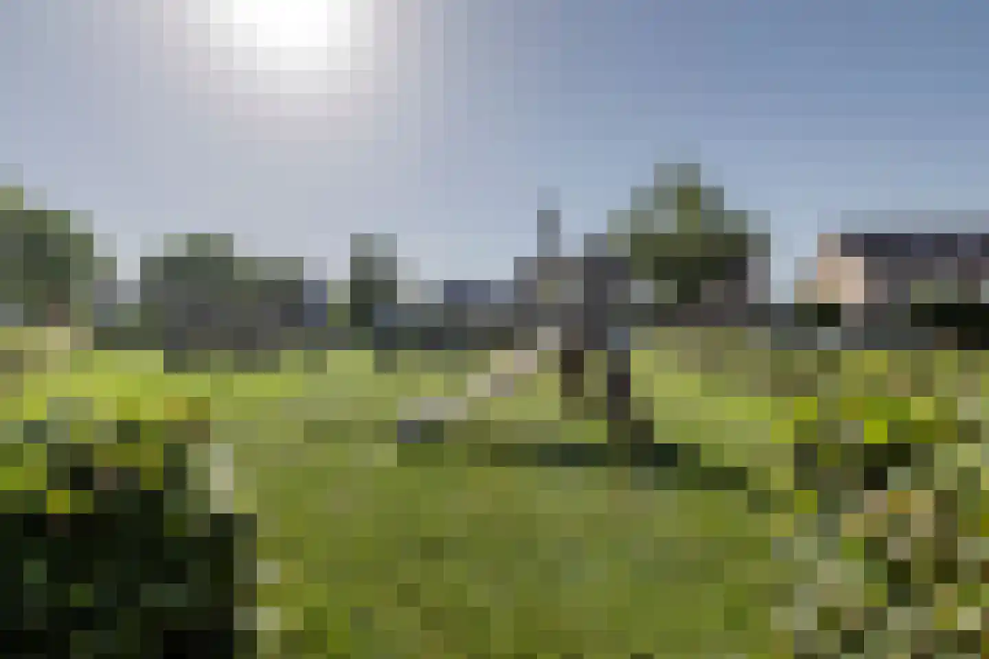 Zwenkgras 7 Bodegraven thumbnail 41