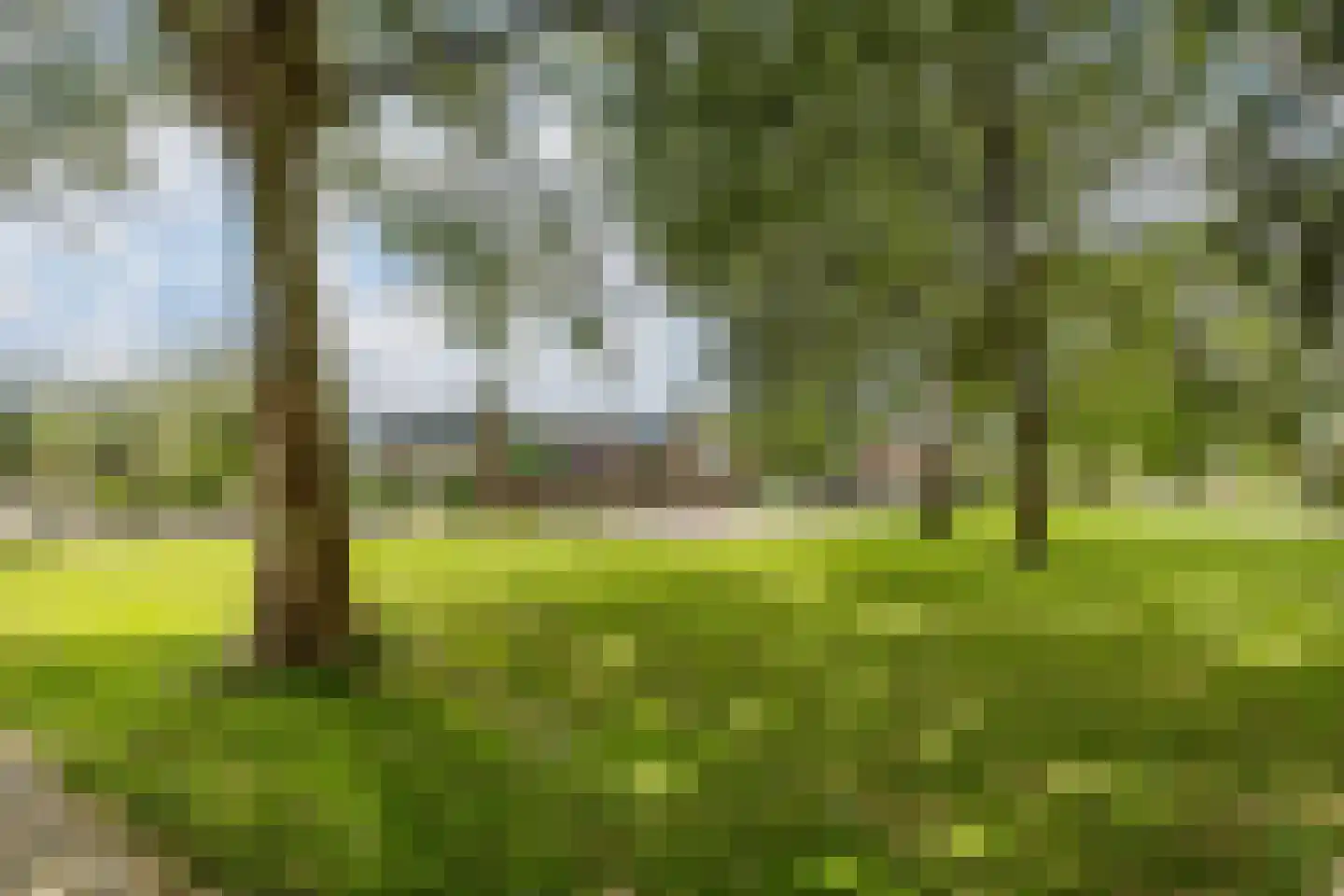 Zwenkgras 7 Bodegraven thumbnail 43