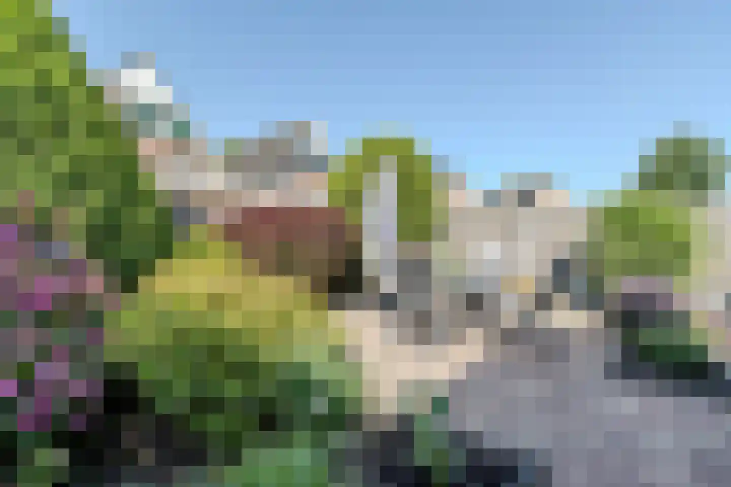 Zwenkgras 7 Bodegraven thumbnail 6
