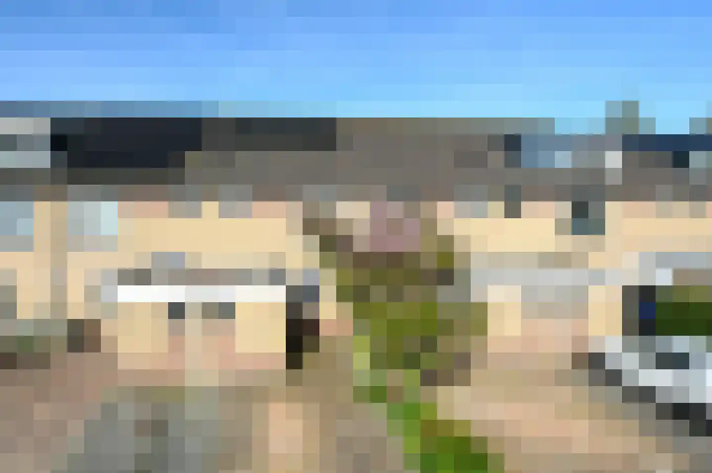 Zwenkgras 7 Wilnis