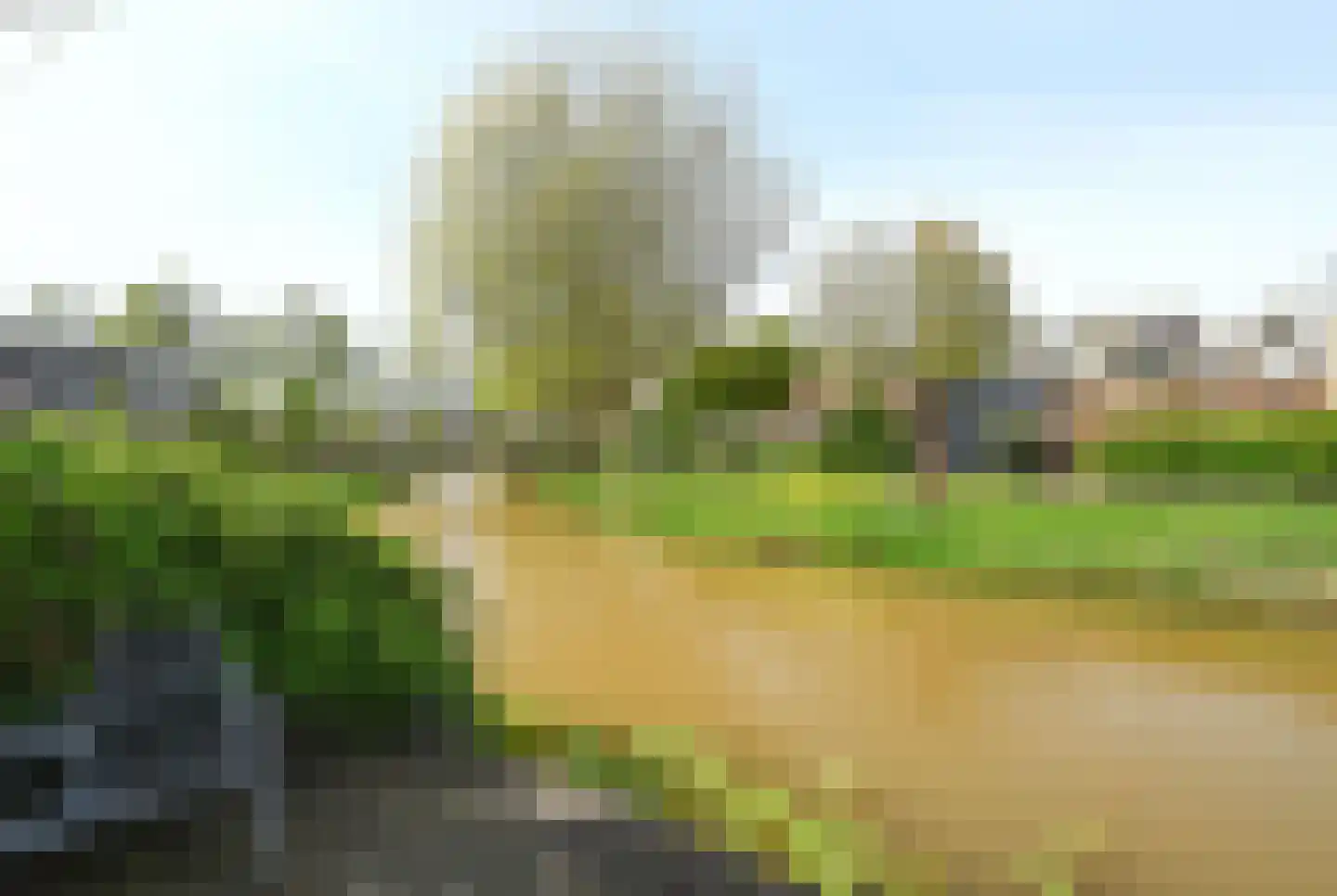 Zwenkgras 7 Wilnis thumbnail 21