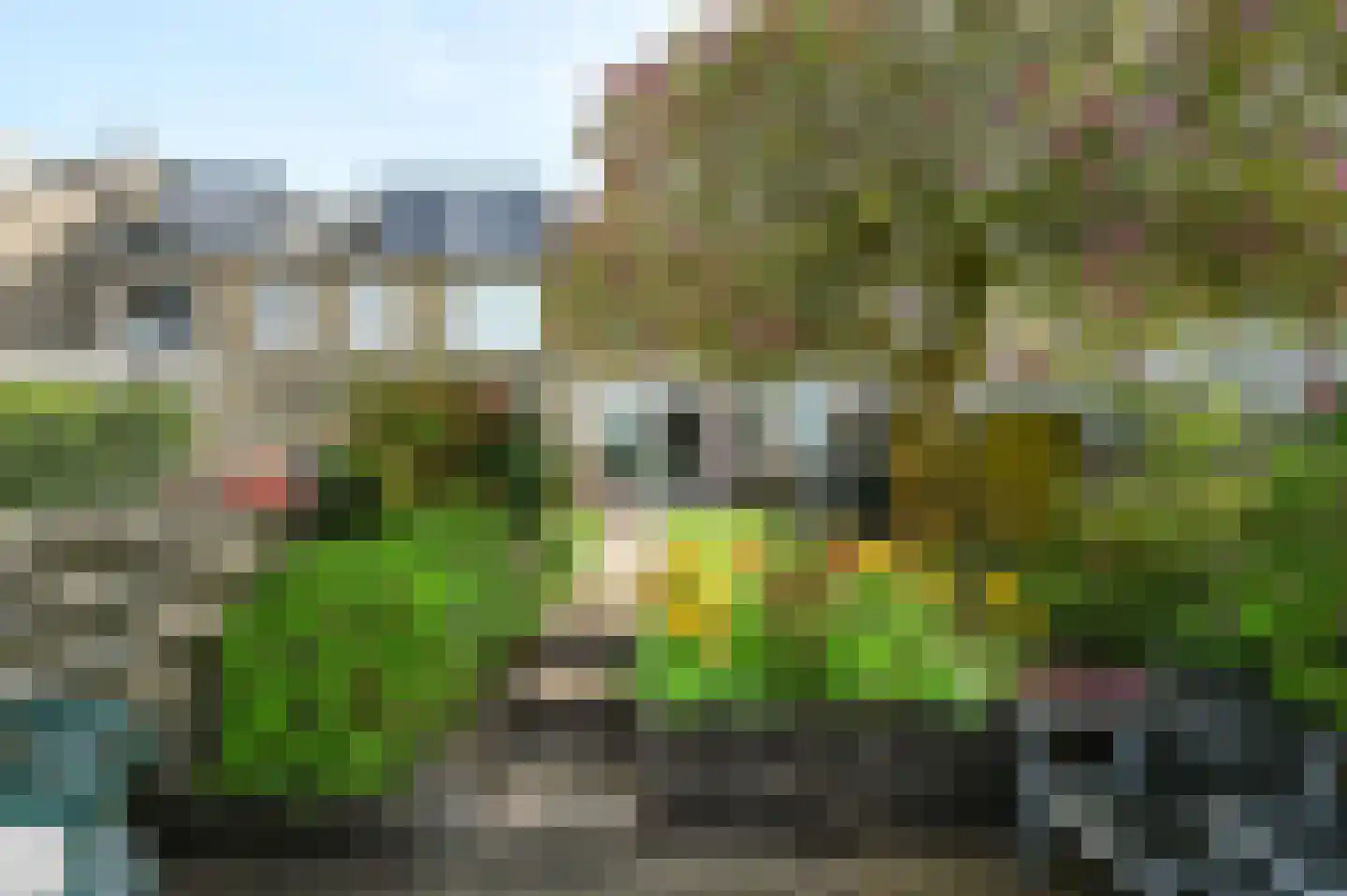 Zwenkgras 7 Wilnis thumbnail 22