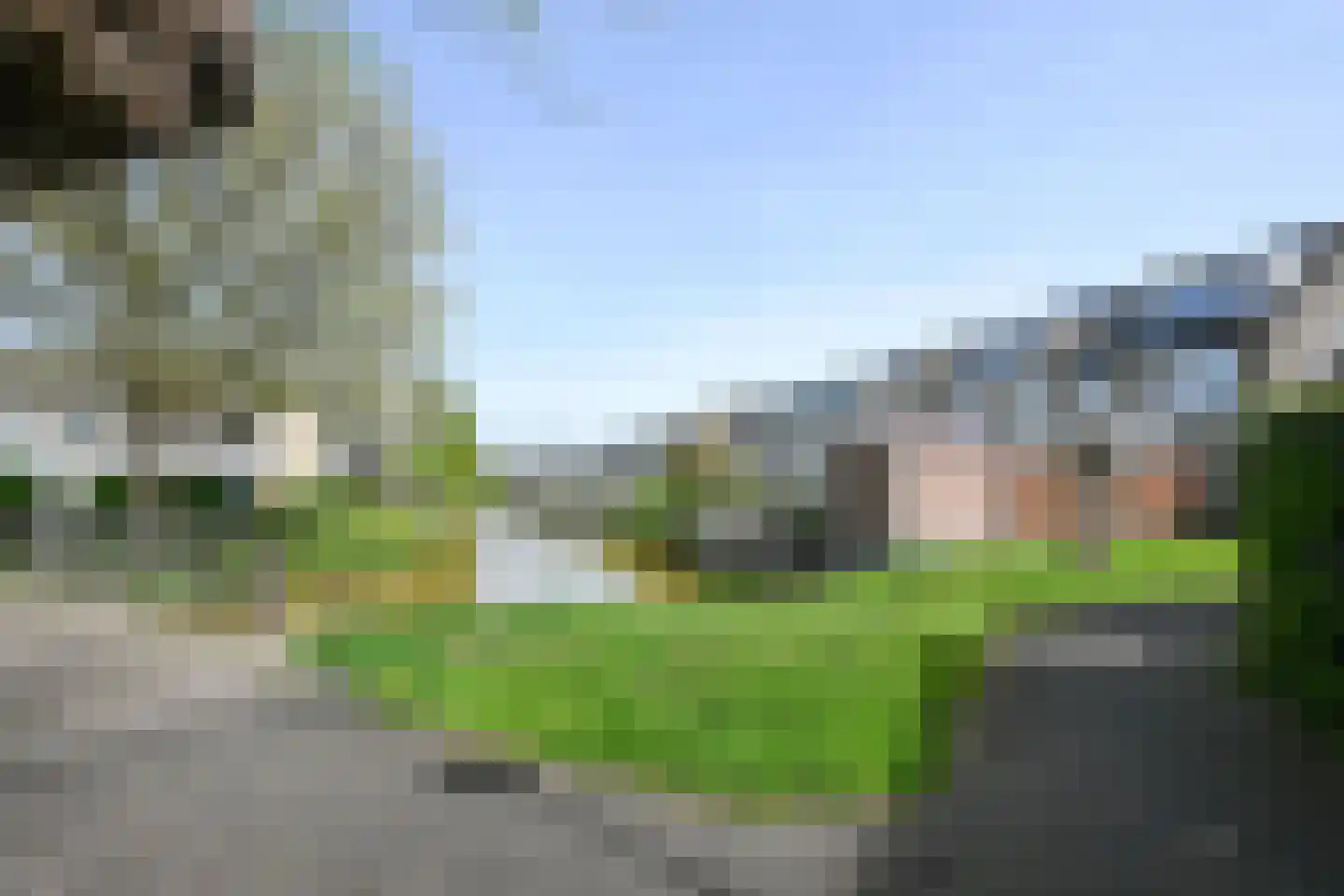 Zwenkgras 7 Wilnis thumbnail 23