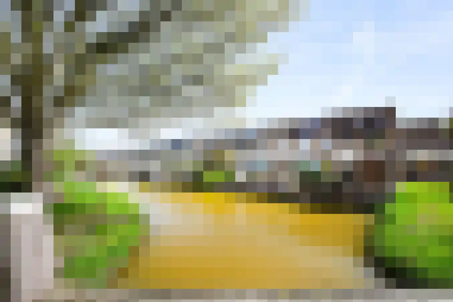 Zwenkgras 7 Wilnis thumbnail 24