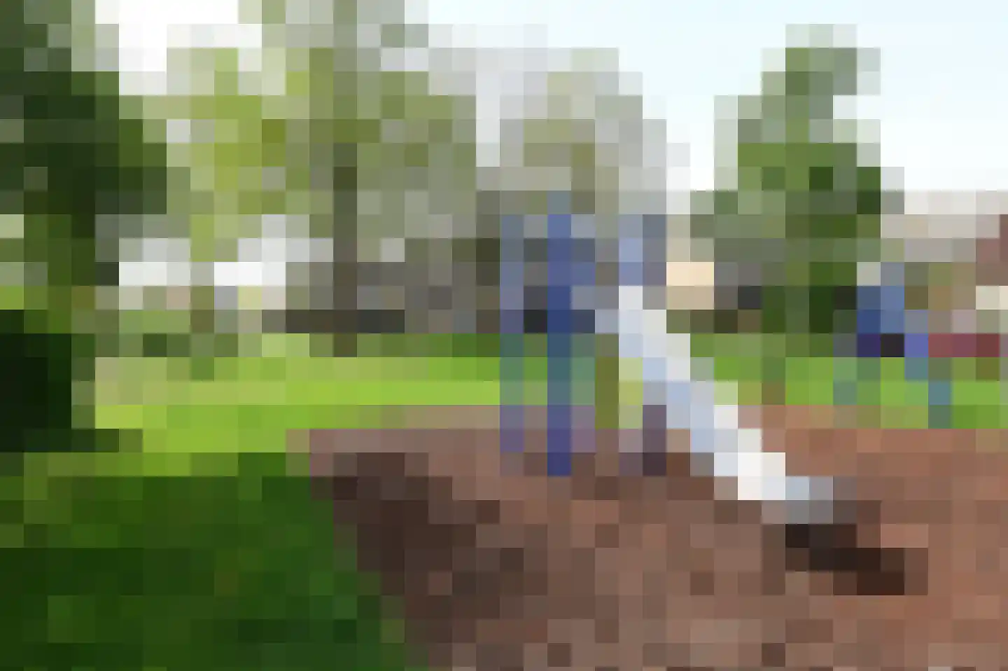 Zwenkgras 7 Wilnis thumbnail 27
