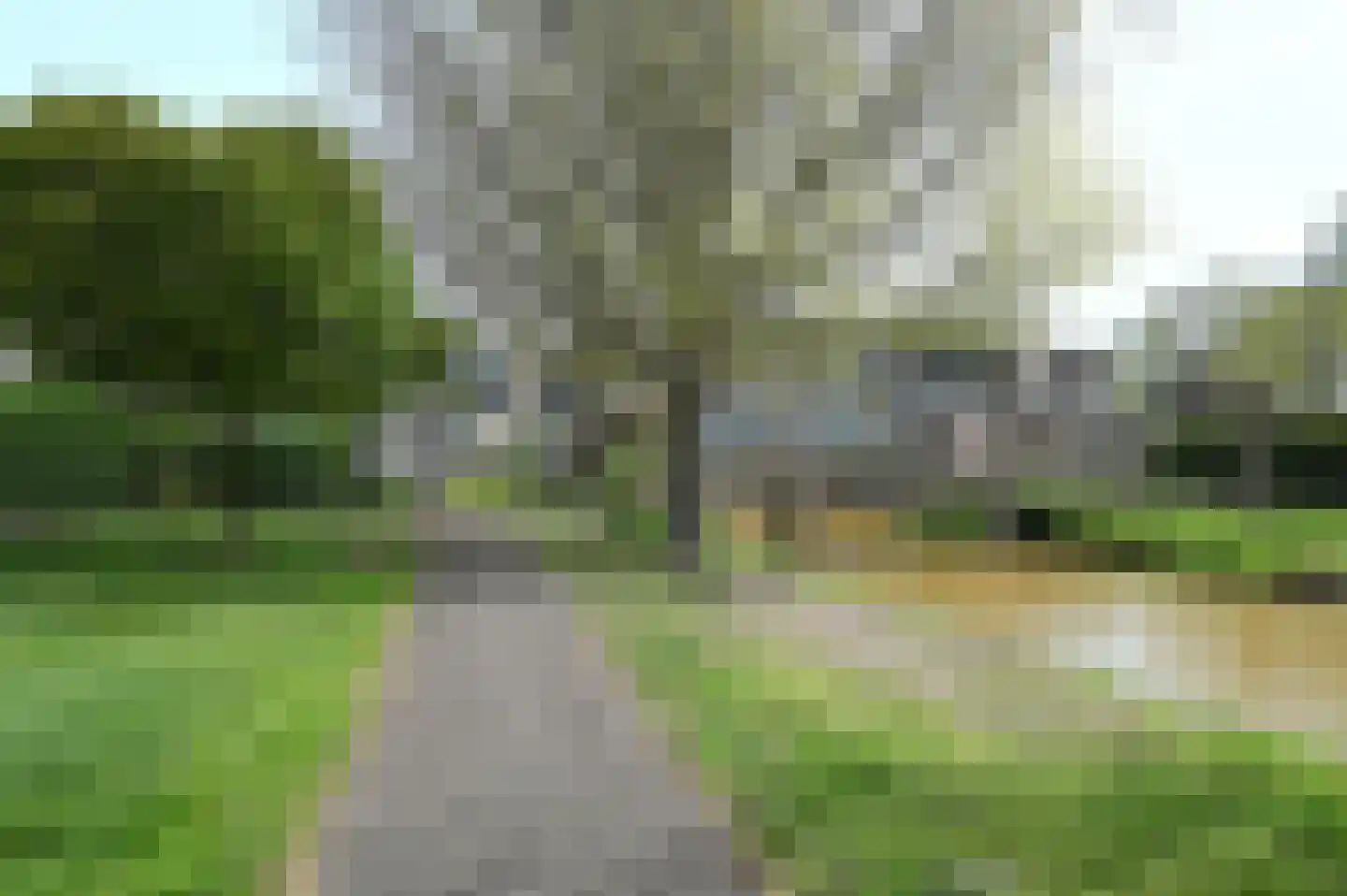 Zwenkgras 7 Wilnis thumbnail 28