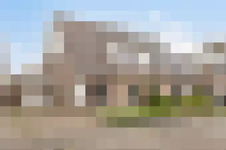 Zwenkgras 8 dans Bovensmilde