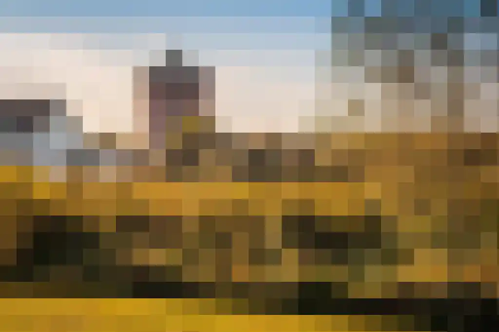 Zwenkgras 9 Katwijk thumbnail 24