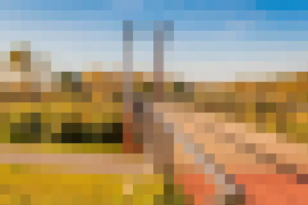 Zwenkgras 9 Katwijk thumbnail 26