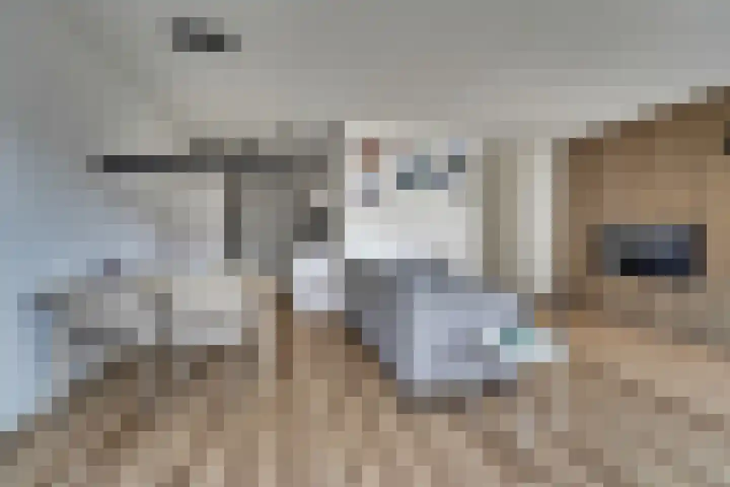 Zwenkgras 9 Katwijk thumbnail 6