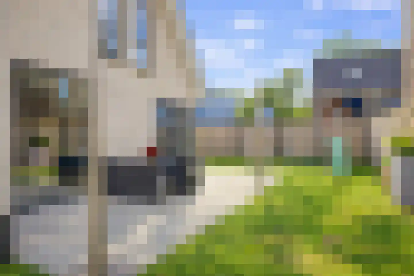 Zwenkgrasstraat 13 Heerhugowaard thumbnail 27