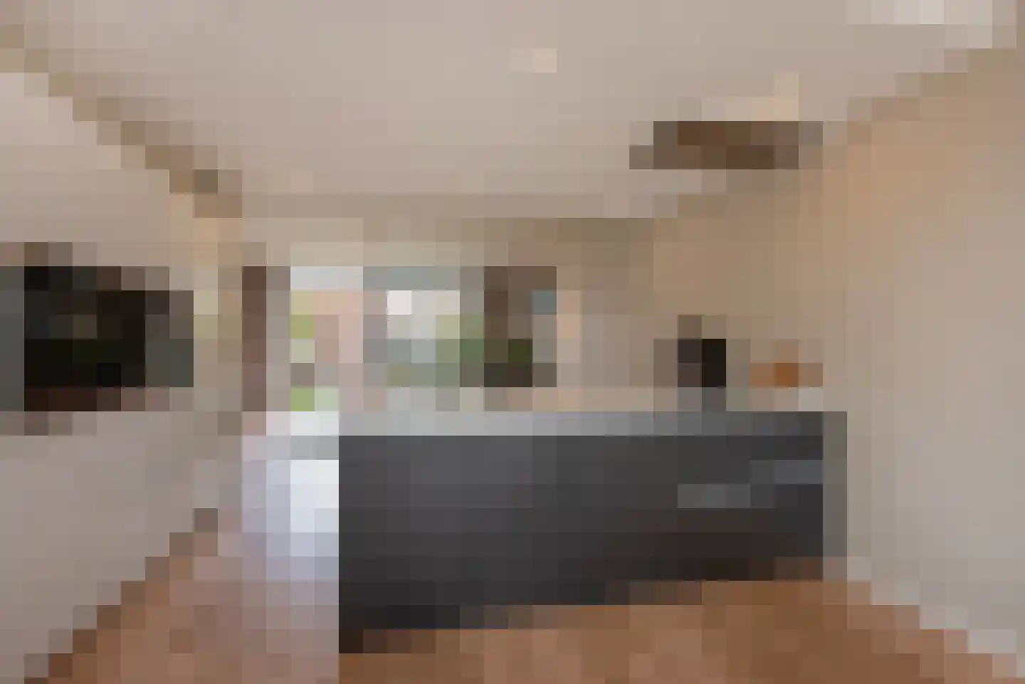 Zwenkgrasstraat 30 Rijswijk thumbnail 10