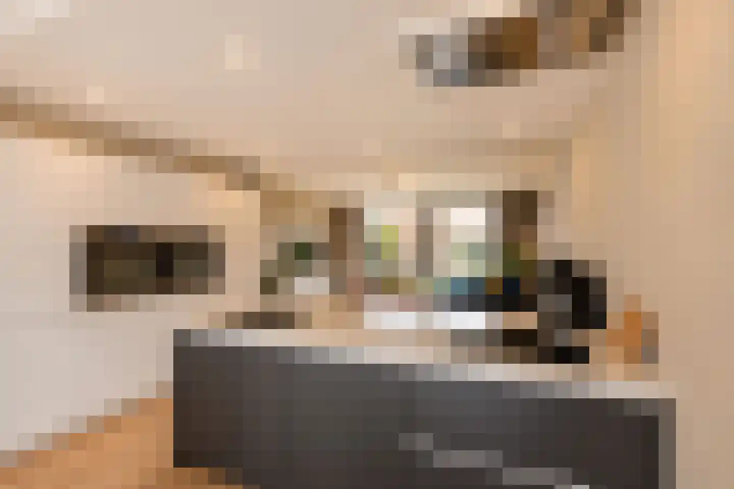 Zwenkgrasstraat 30 Rijswijk thumbnail 11