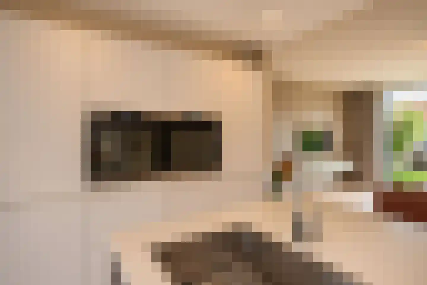 Zwenkgrasstraat 30 Rijswijk thumbnail 13