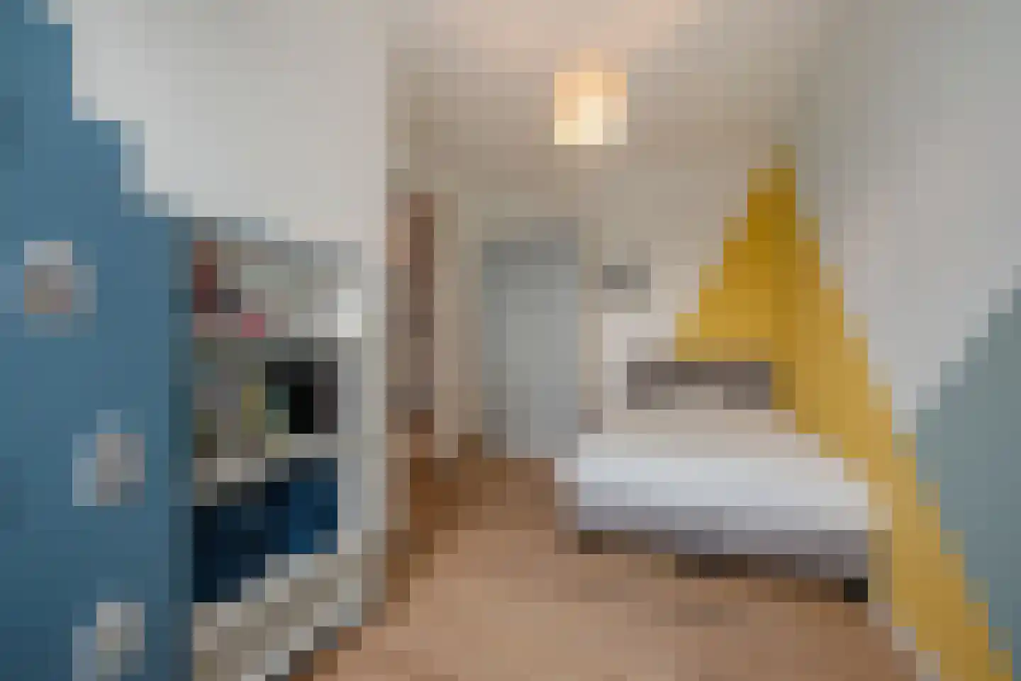 Zwenkgrasstraat 30 Rijswijk thumbnail 25