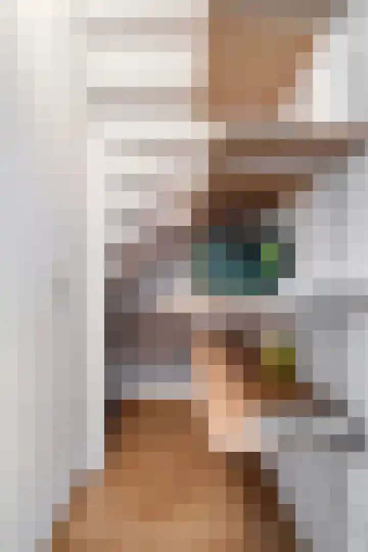 Zwerfheide 19 Grubbenvorst thumbnail 13
