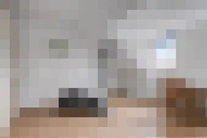 Zwerfheide 19 Grubbenvorst thumbnail 23
