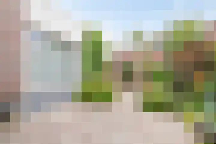Zwerfheide 19 Grubbenvorst thumbnail 24